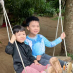 Quan Sát Là Nền Tảng Của Trí Lực Đối Với Trẻ Mầm Non