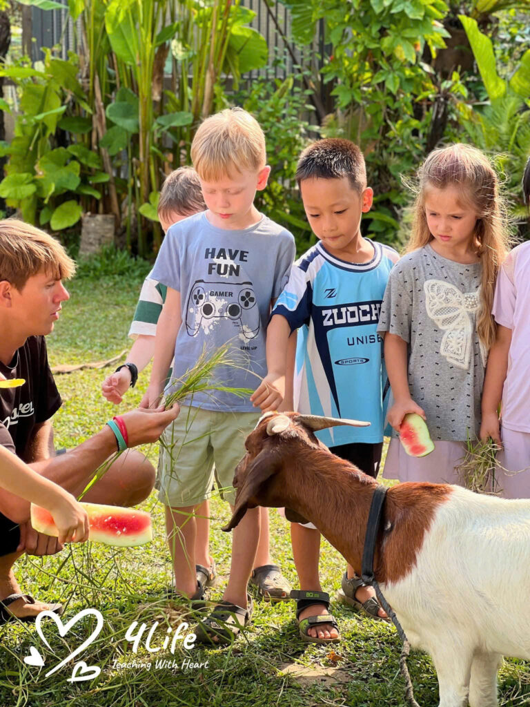 Cách giáo viên Montessori hỗ trợ trẻ học tập