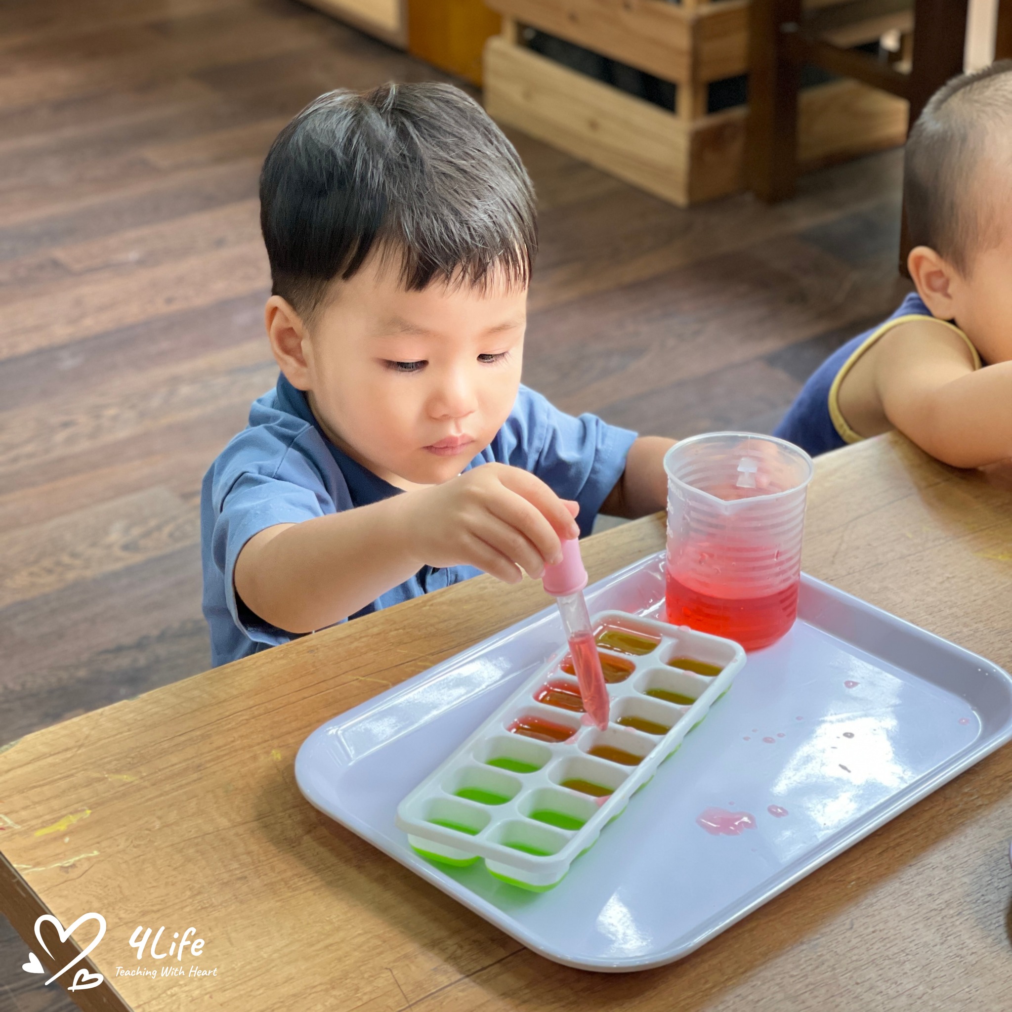 Triết Lý Giáo Dục Tôn Trọng Nhịp Phát Triển Tự Nhiên Của Trẻ